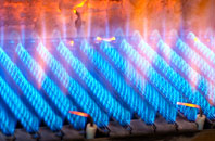 Trevaughan gas fired boilers