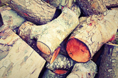 Trevaughan wood burning boiler costs